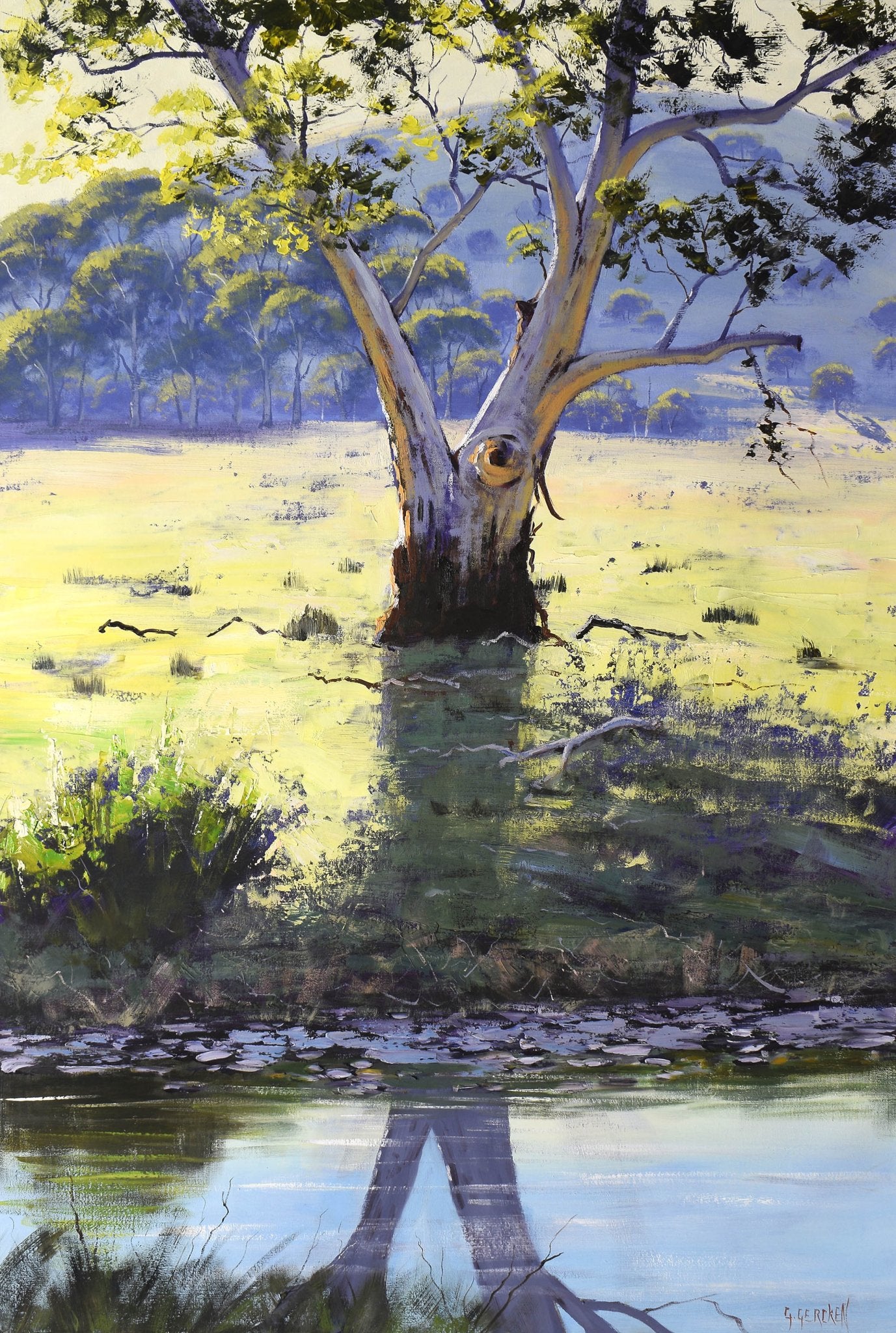 Gum tree landscape with golden light and shadows, painted in oils