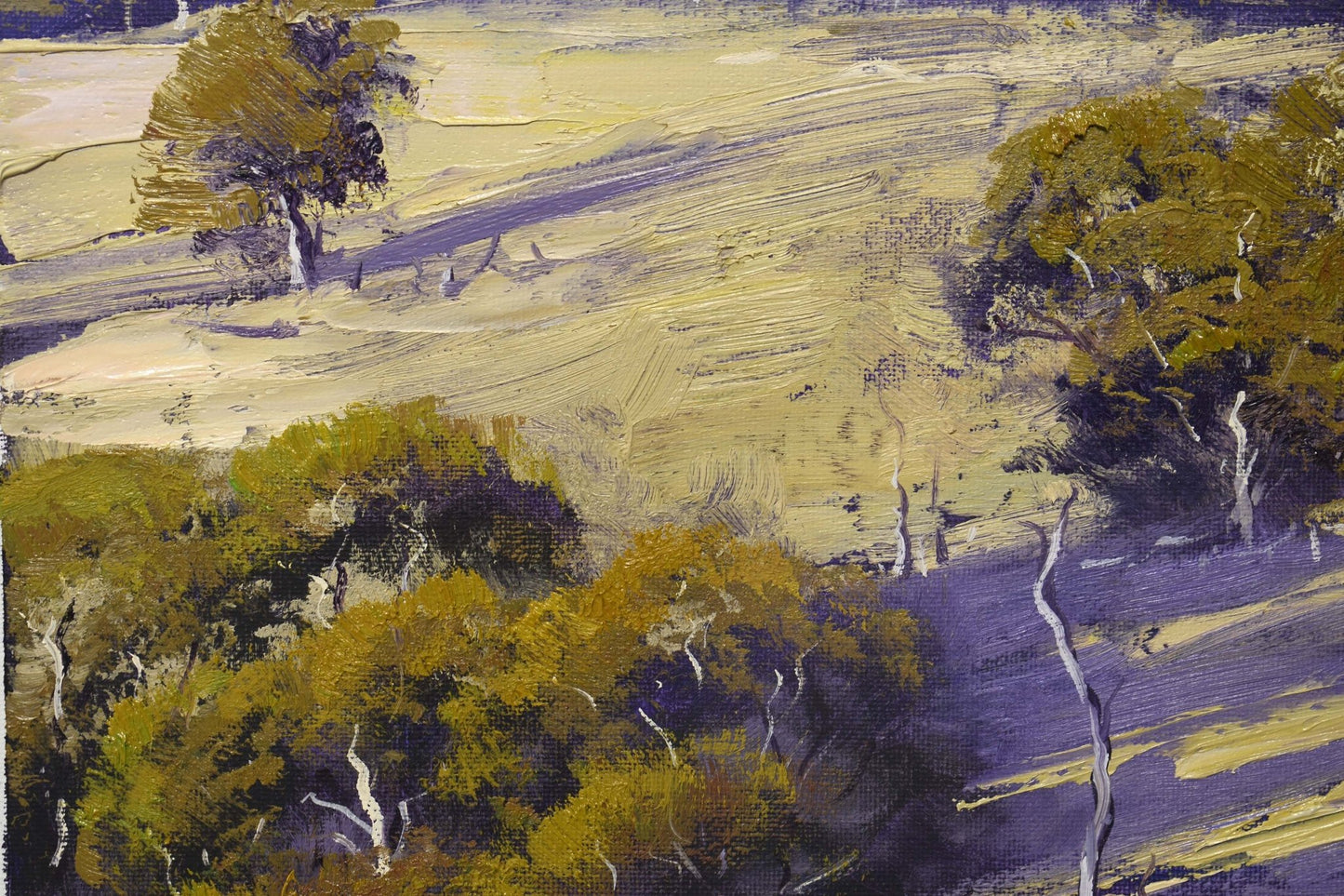 Framed Original Australian Oil Landscape Painting by Graham Gercken