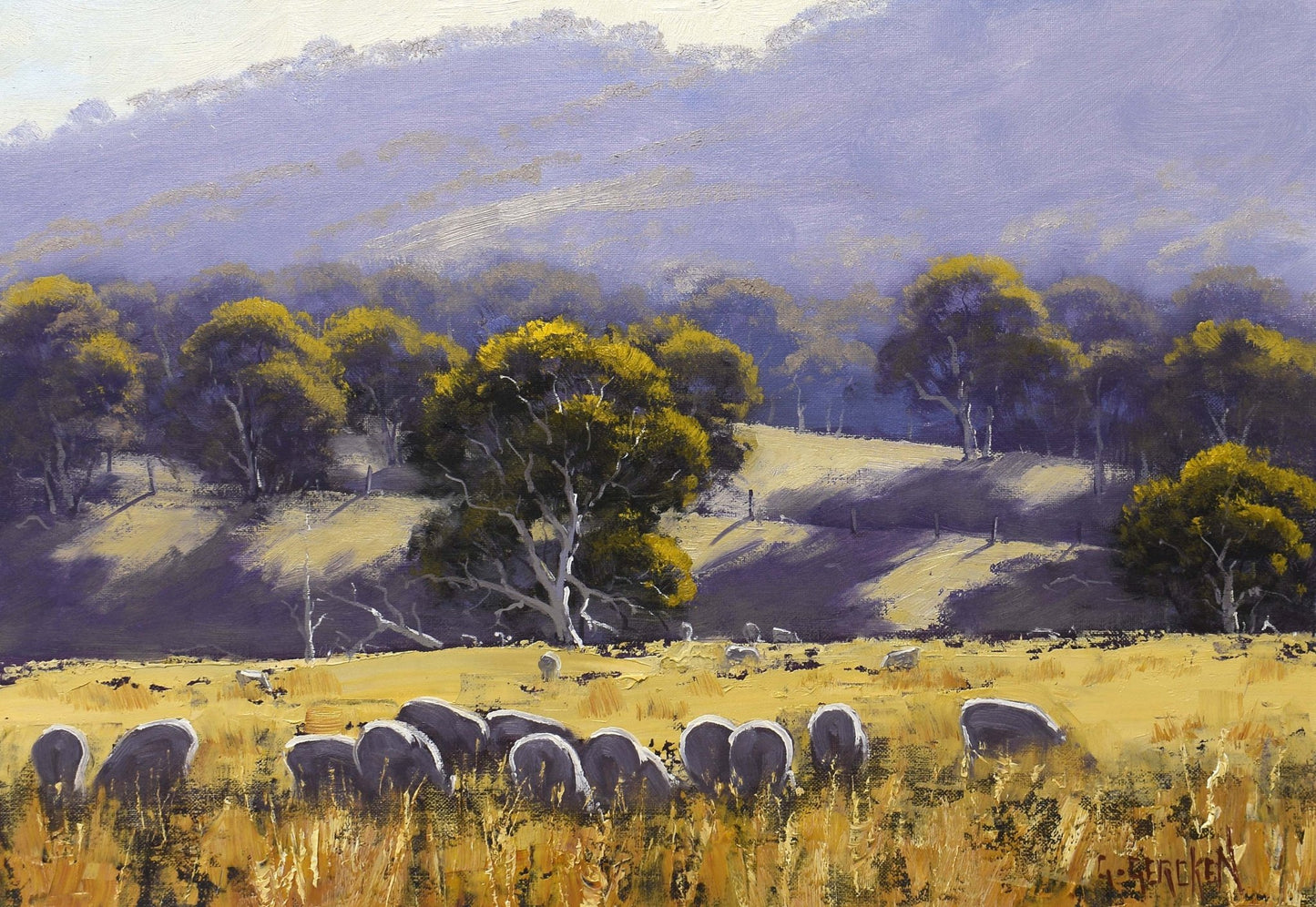 Original Oil Painting – Sheep Grazing in Australian Landscape by Graham Gercken