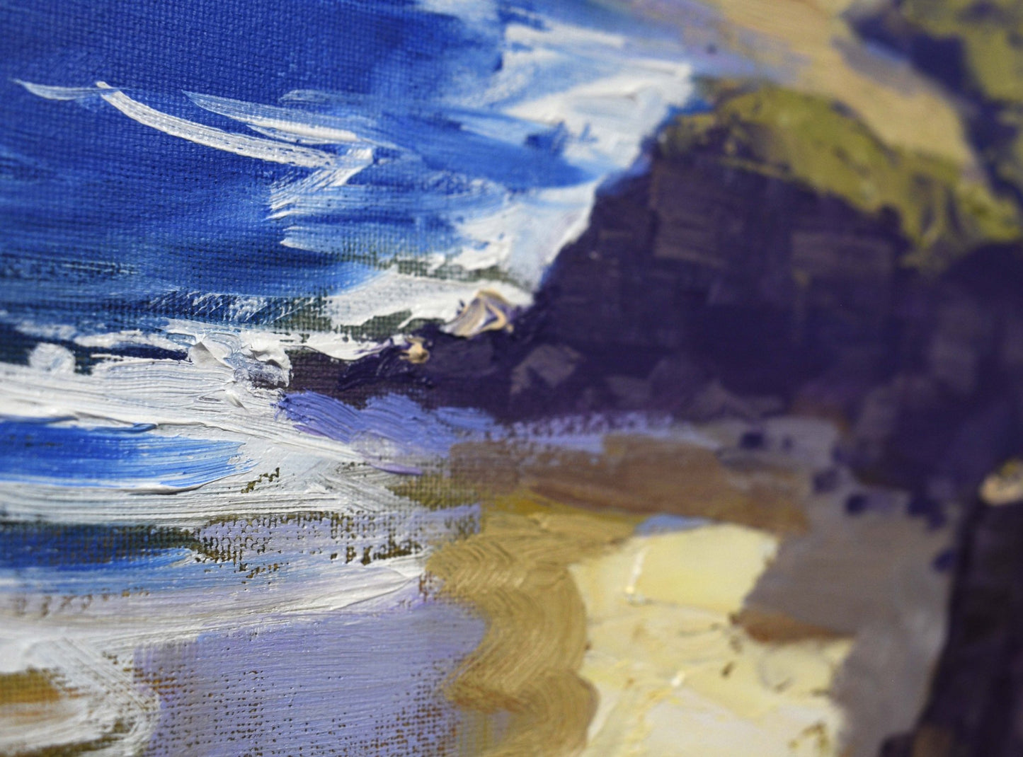 Sydney Coastline Original framed painting by Graham Gercken