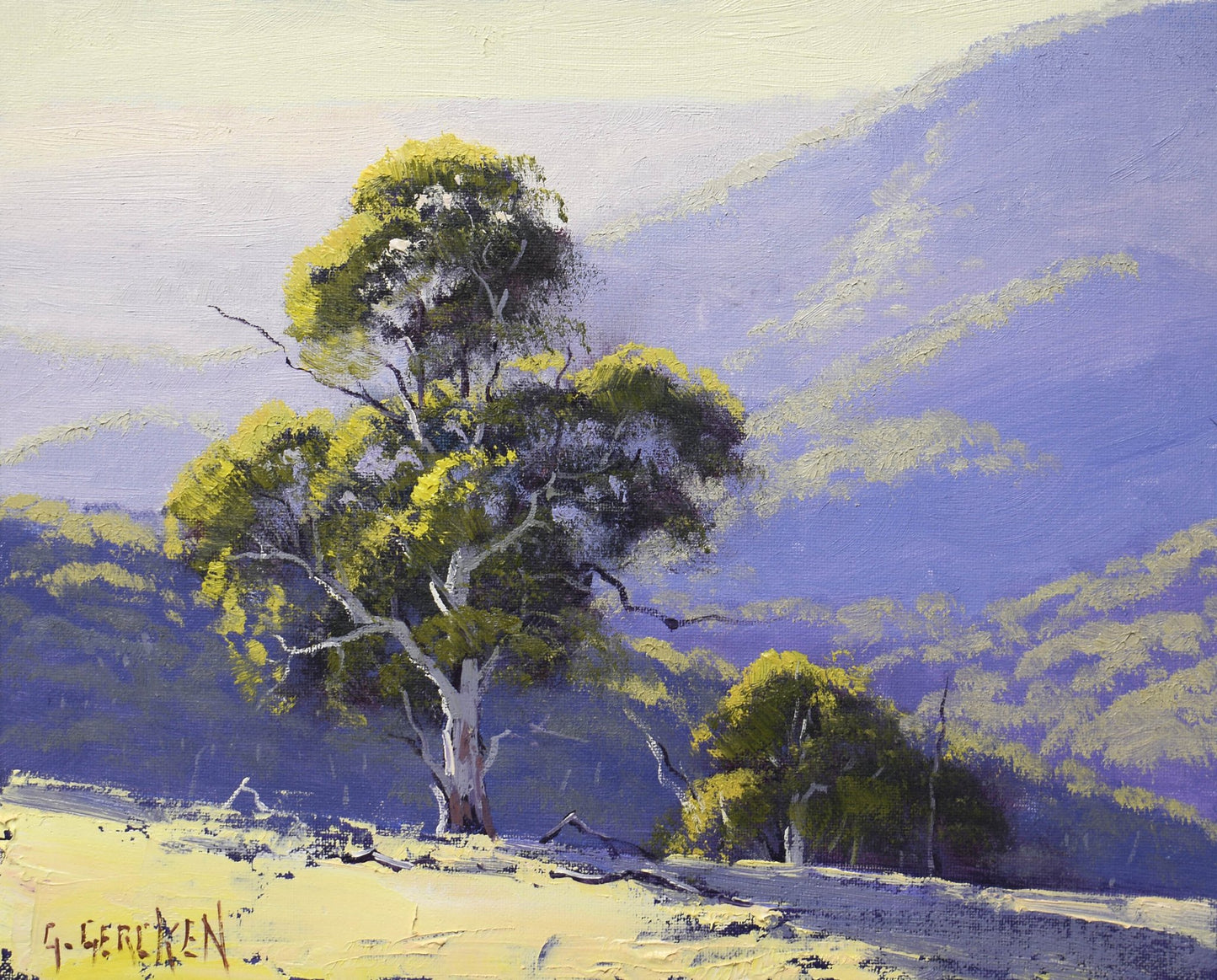 Framed Original Oil Painting – Australian Landscape, Central West NSW with Gum Tree | Graham Gercken