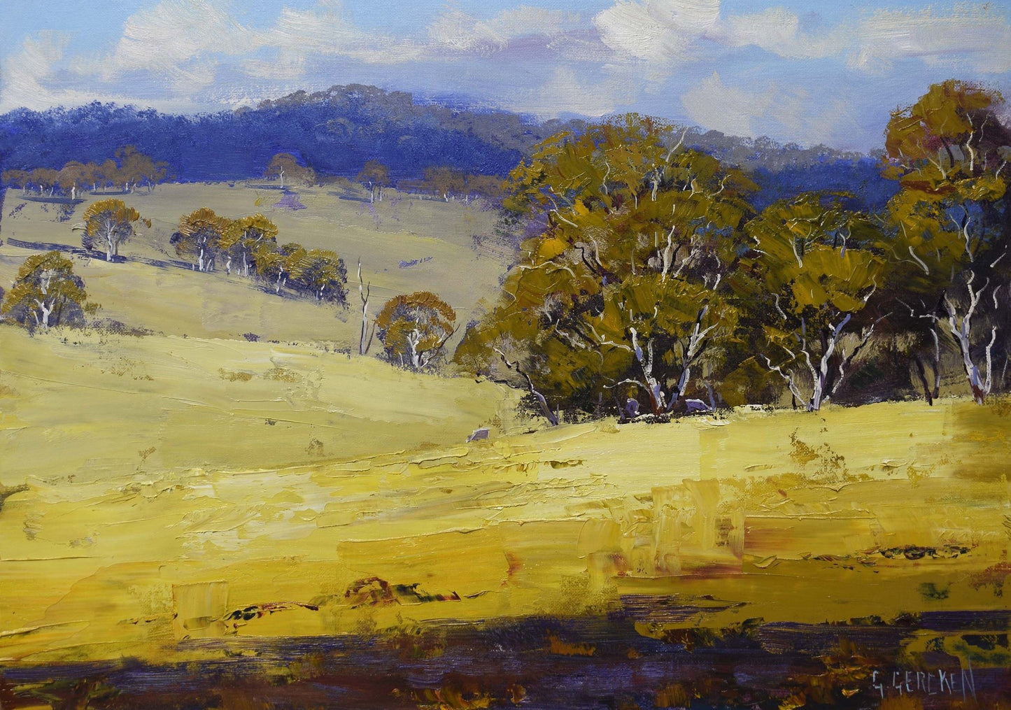 Framed Australian Landscape original oil painting by Graham Gercken