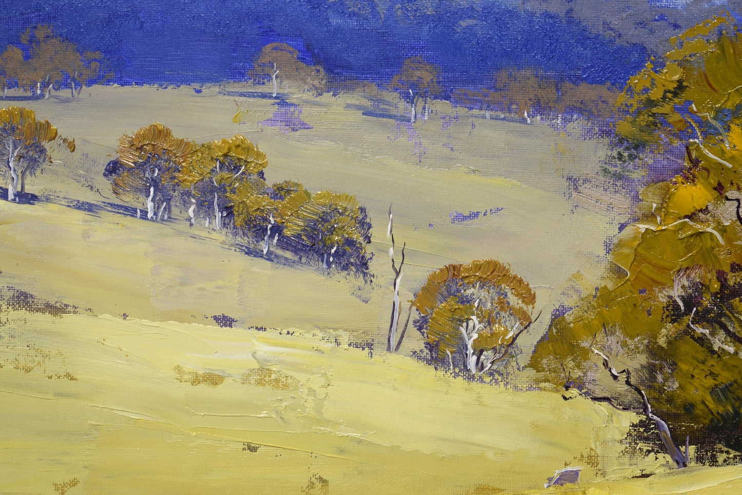 Framed Australian Landscape original oil painting by Graham Gercken