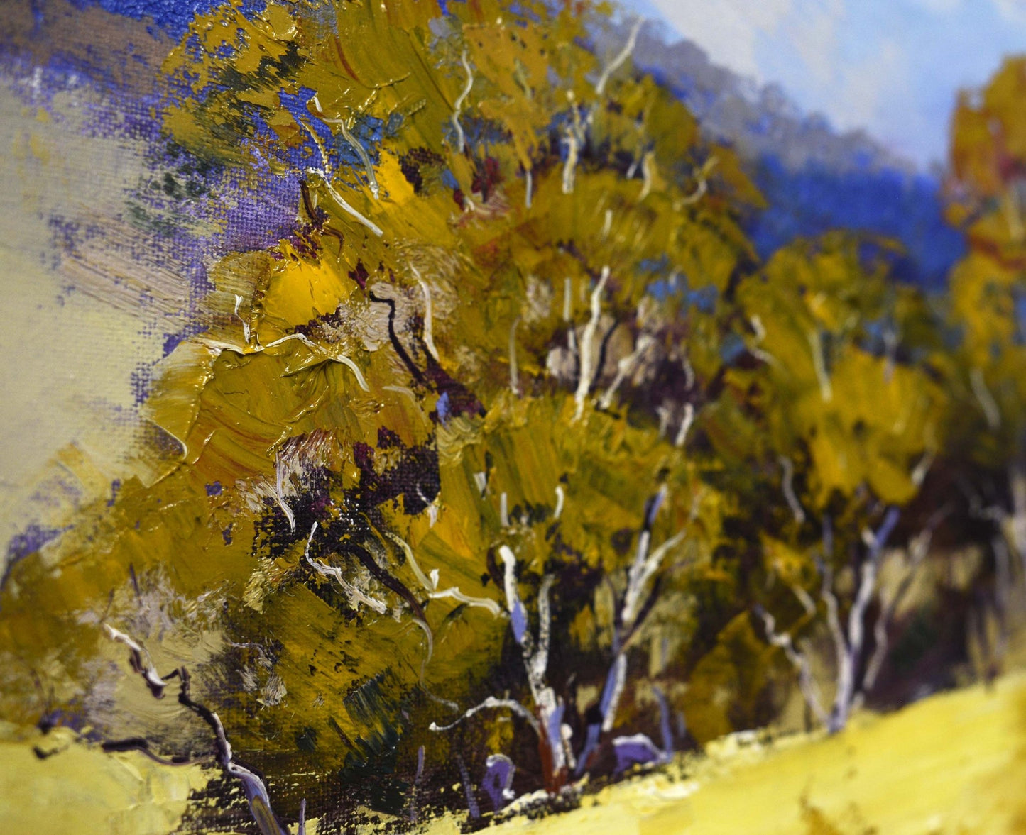 Framed Australian Landscape original oil painting by Graham Gercken