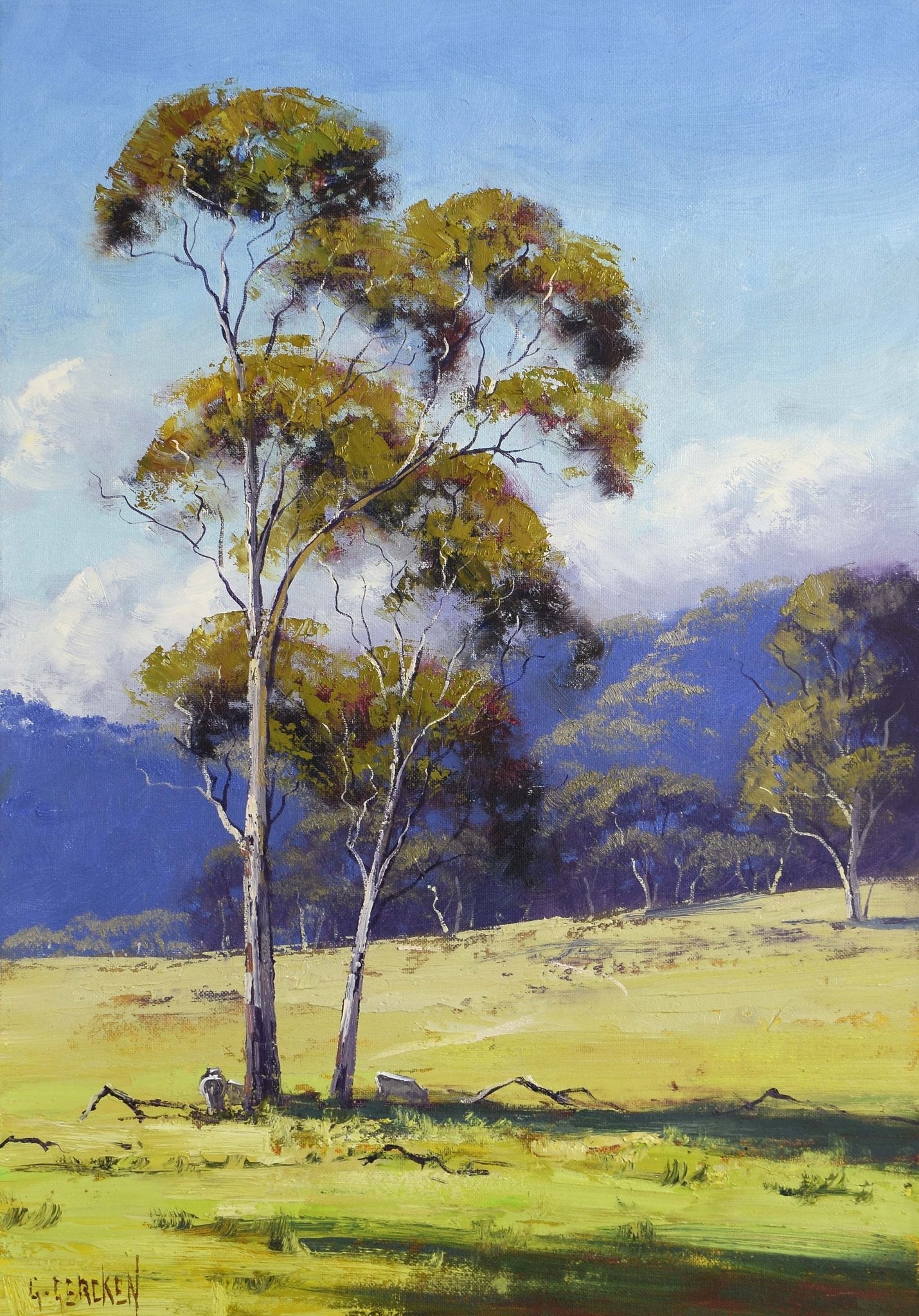 Hartley Valley Gum Trees - Original oil Painting by Graham Gercken