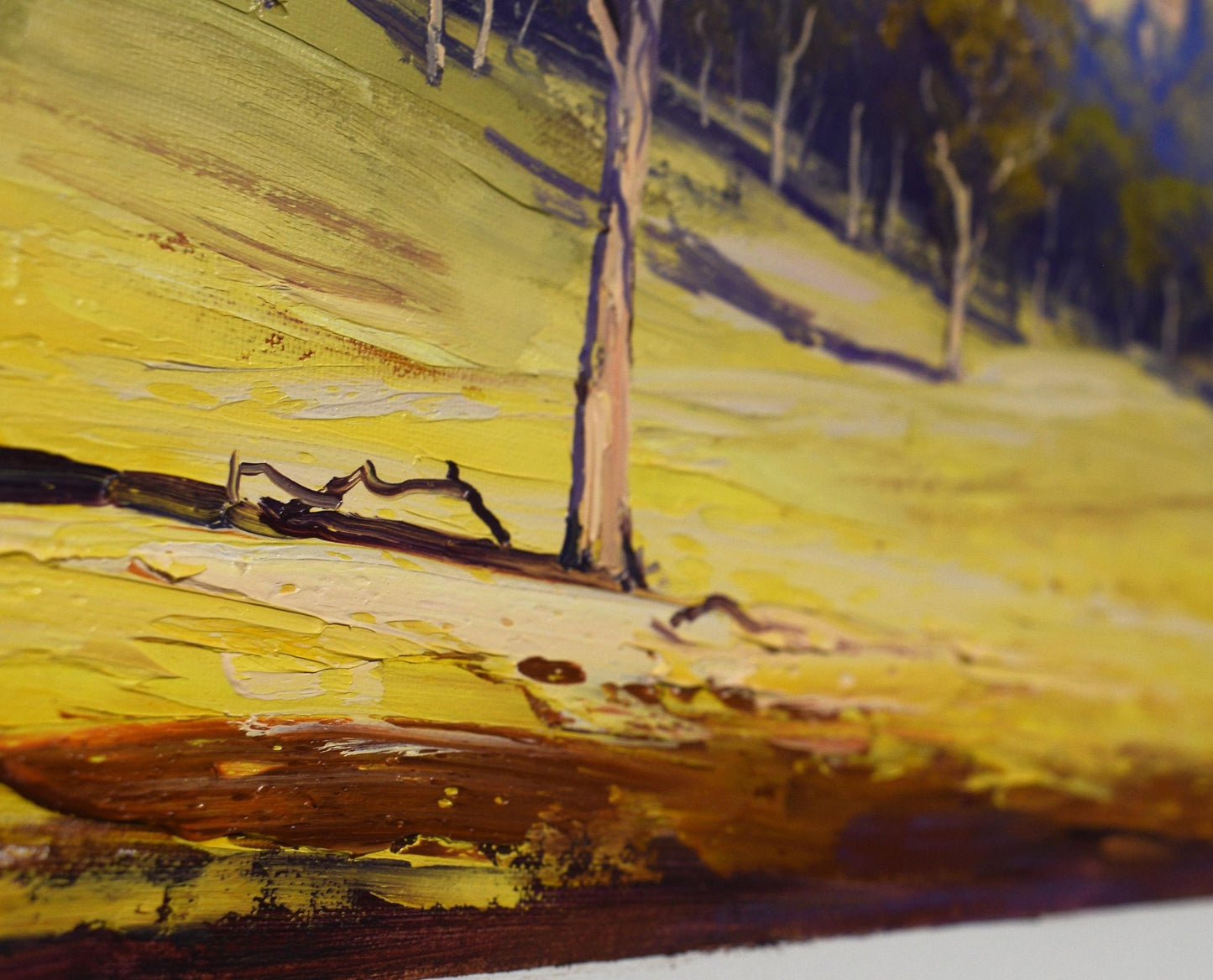 Framed Original Oil Painting Summer Landscape Capertee Valley by Graham Gercken