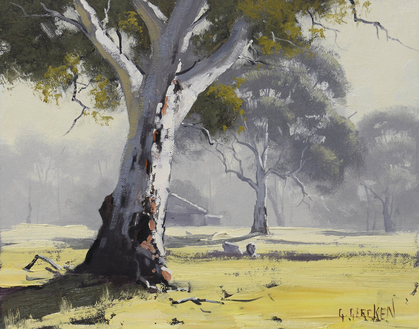 Framed Original Oil Painting – Australian Landscape with Gum Tree | Graham Gercken
