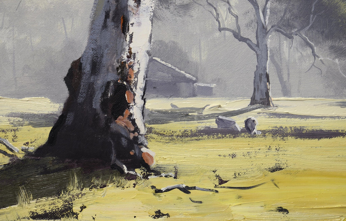 Framed Original Oil Painting – Australian Landscape with Gum Tree | Graham Gercken