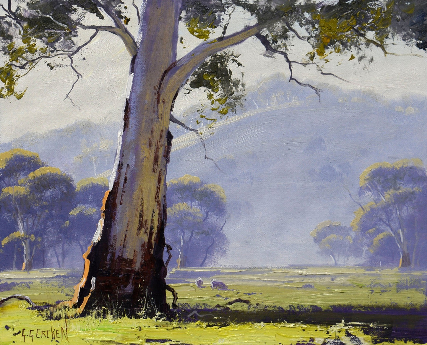 Framed Original Oil Painting of Gum Tree Landscape | Australian Bush Art by Graham Gercken