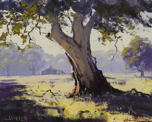 Framed Original Oil Painting of Gum Tree, Whittlesea Victoria – Australian Landscape by Graham Gercken