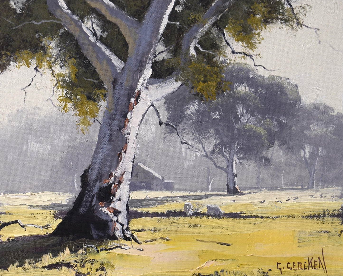 Framed Original Oil Painting – Australian Landscape with Gum Tree | Graham Gercken