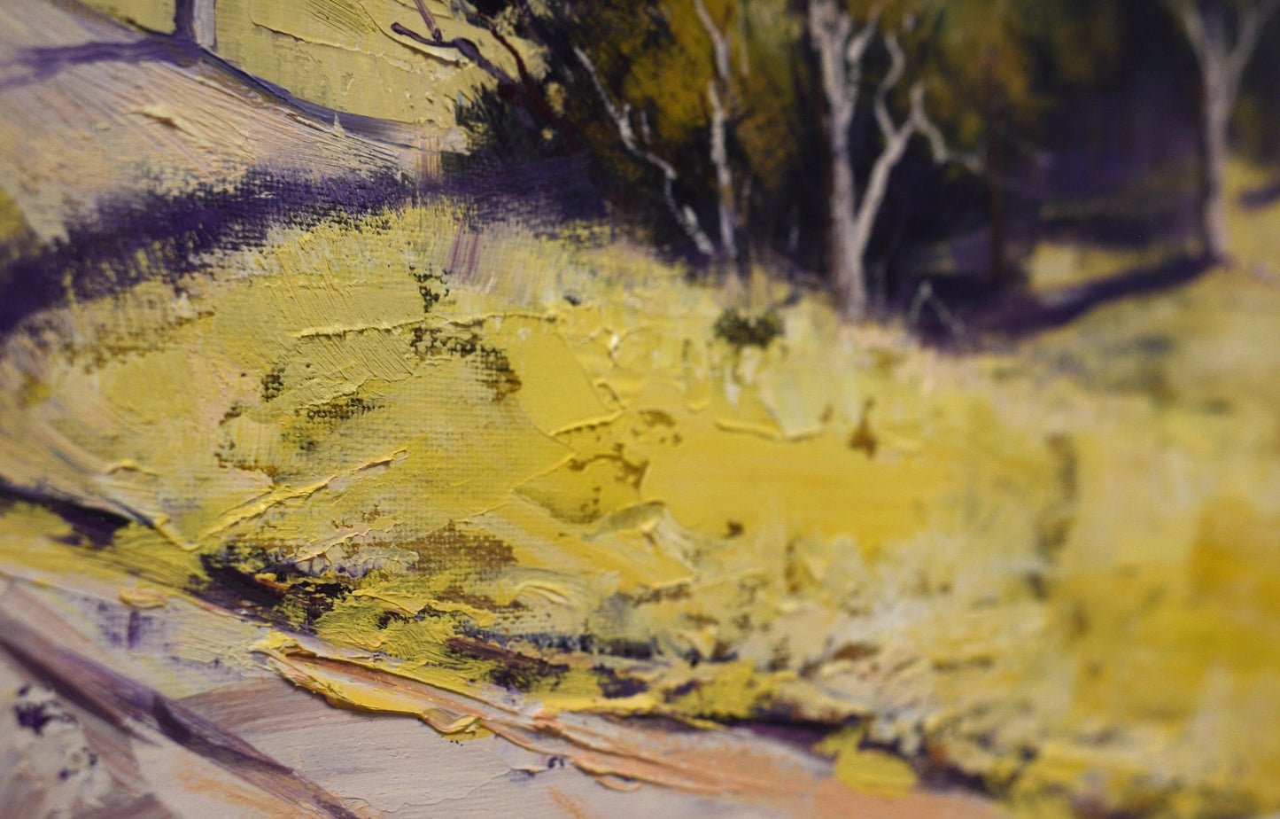 Kanimbla Valley Road, Blue Mountains NSW – Framed Original Oil Landscape Painting