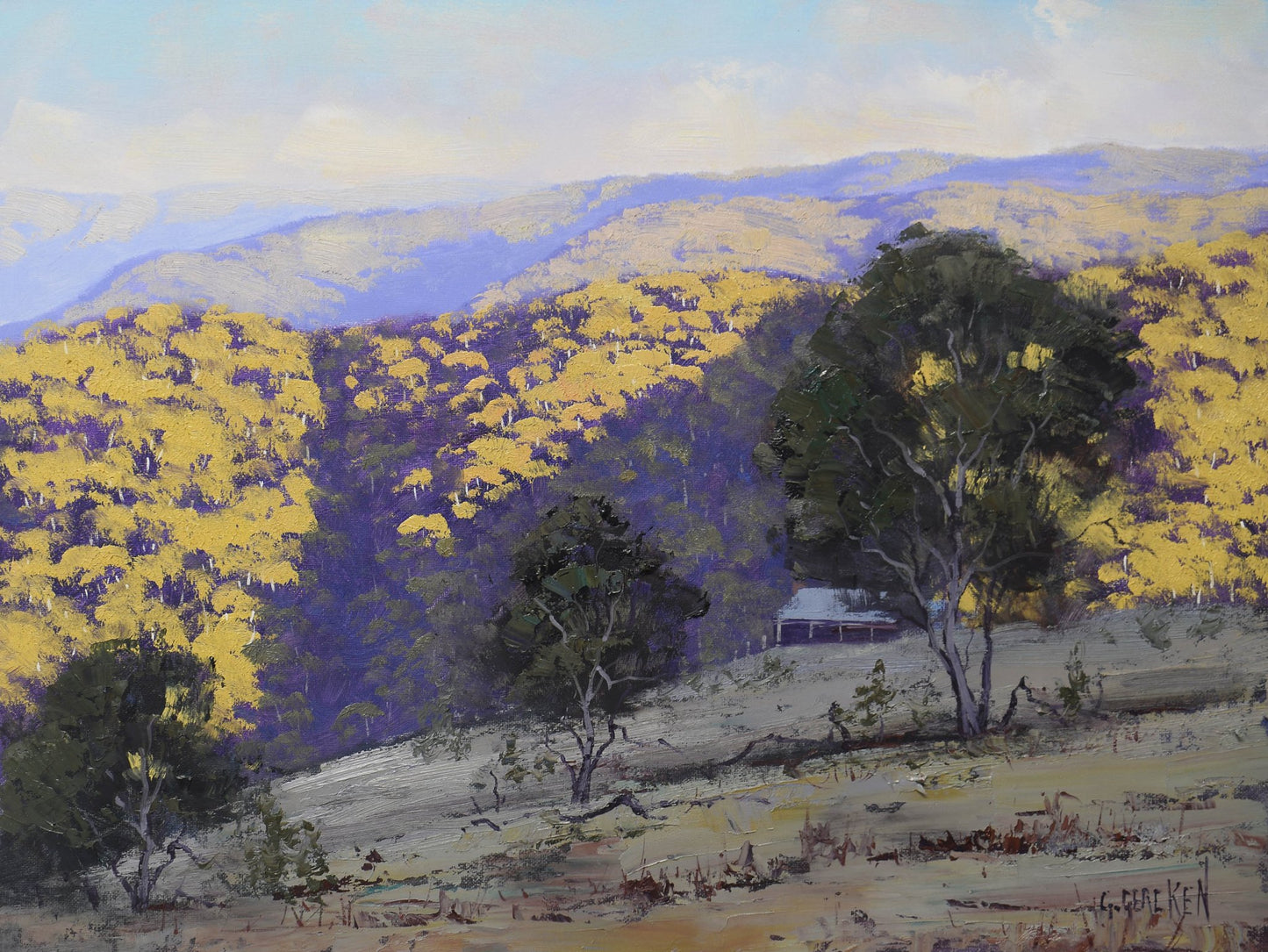 Australian Bushland Landscape Oil Painting 16x12 Central West nsw