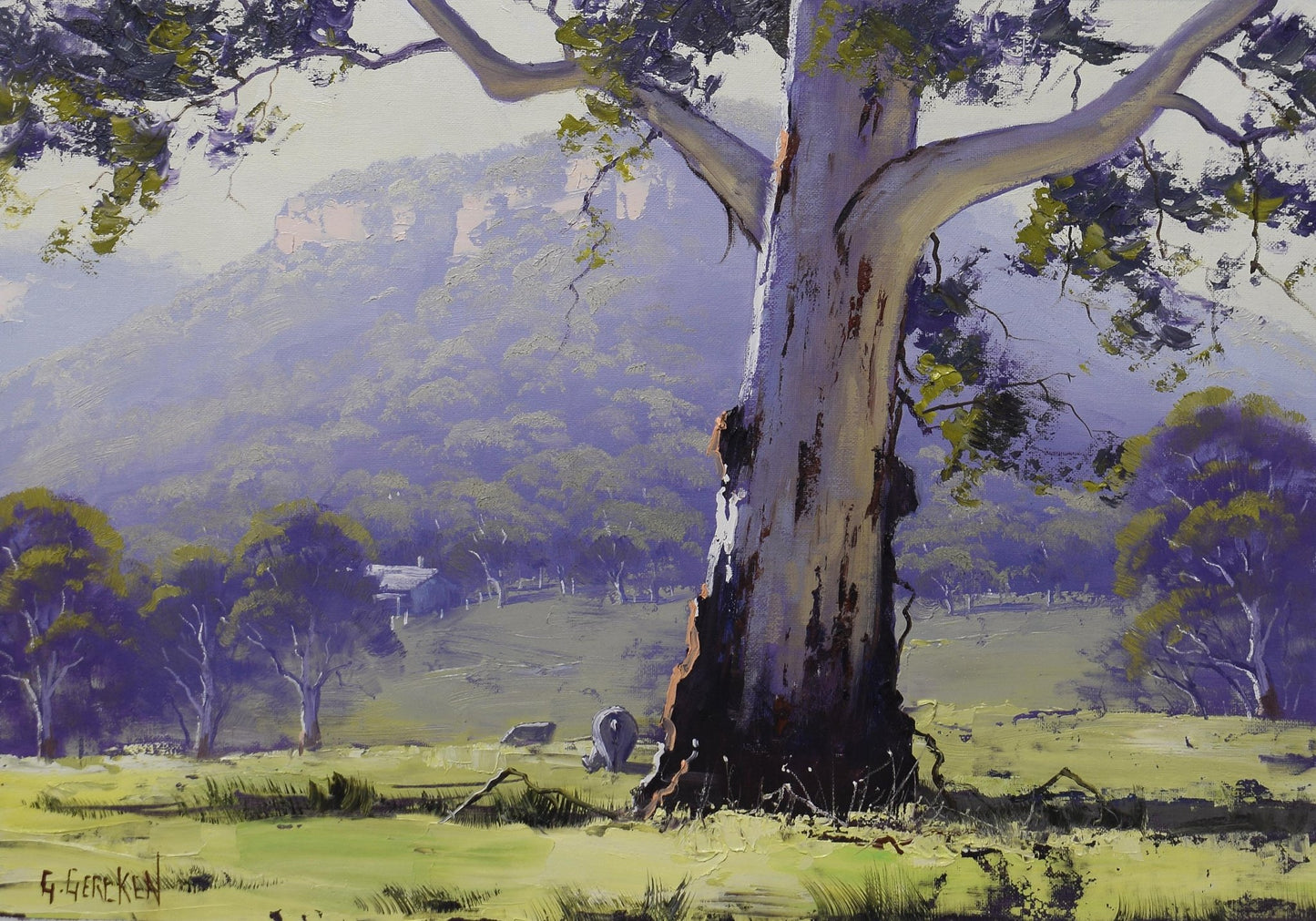 Blue Mountains Valley Gum Tree Framed Oil Painting | Original Australian Landscape Art by Graham Gercken