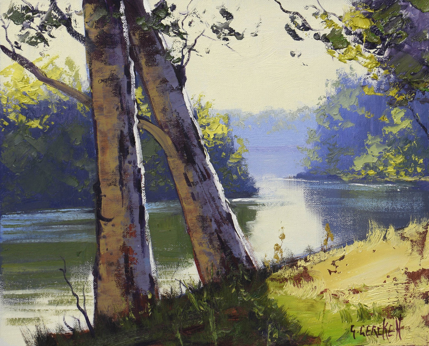 Original Tumut River Oil Painting Framed Australian Landscape Art Graham Gercken
