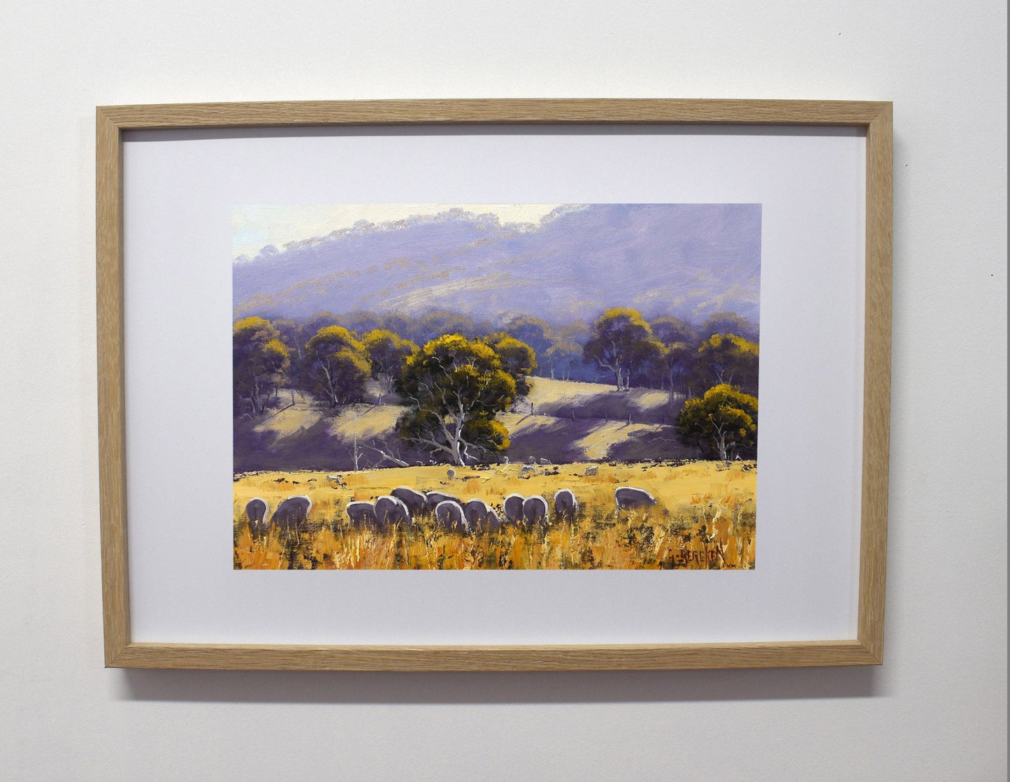 Original Oil Painting – Sheep Grazing in Australian Landscape by Graham Gercken