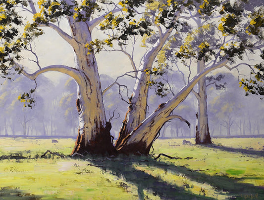 Sunlit eucalyptus trees in the Australian bush, oil on canvas