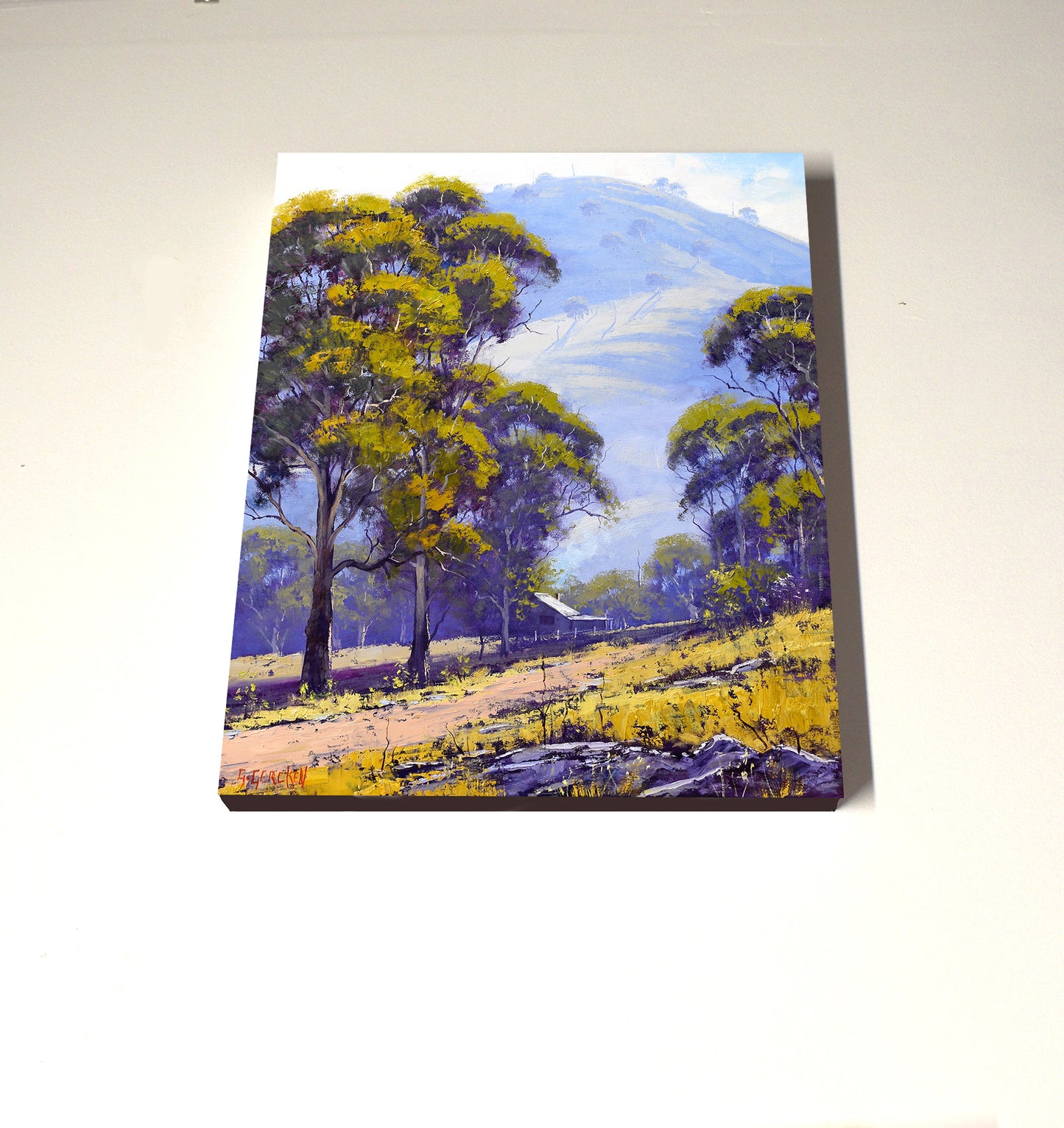 Morning Light, Sofala NSW – Original 20x16 Stretched Canvas Oil Painting