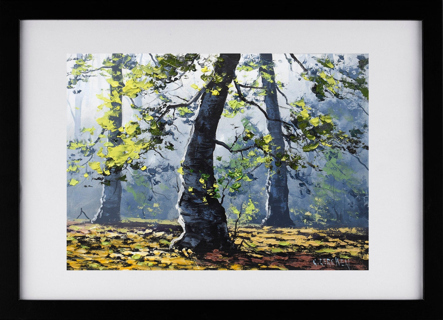 Morning Light Through the Forest – Original Framed Oil Painting by Graham Gercken