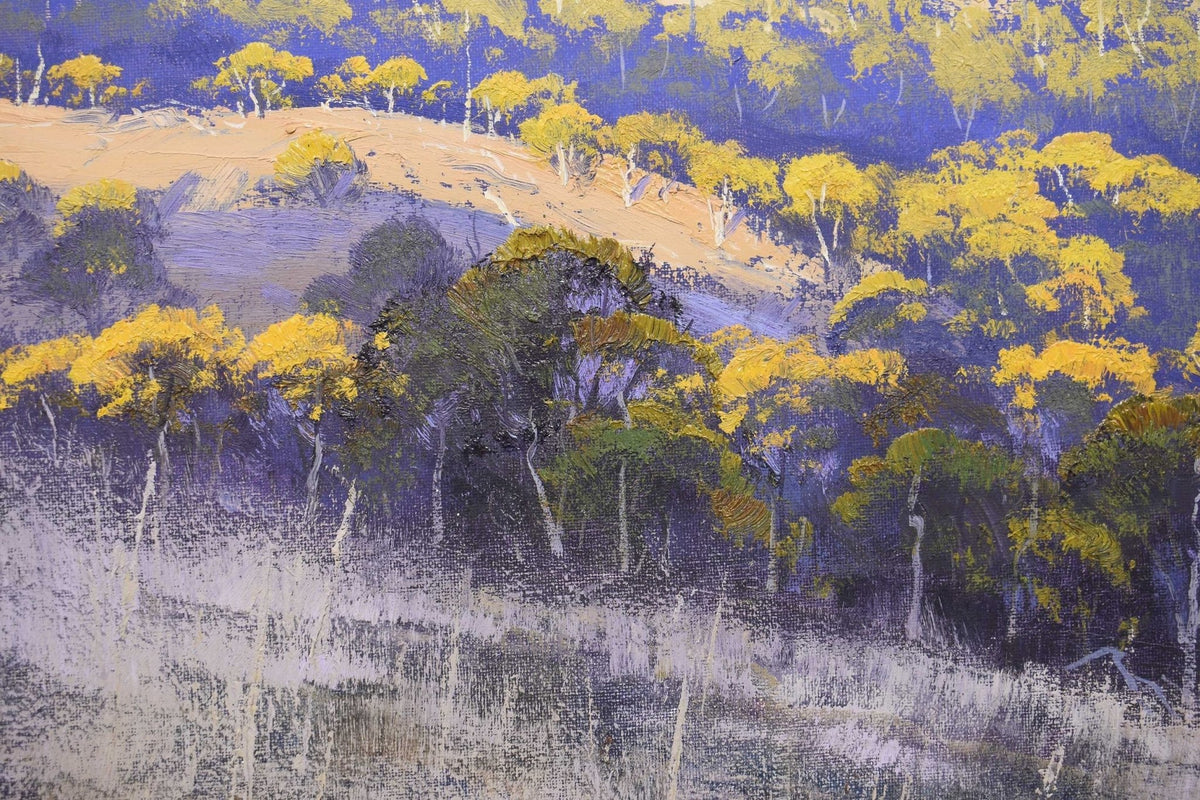 Afternoon Summer light, Central West NSW, Hampton