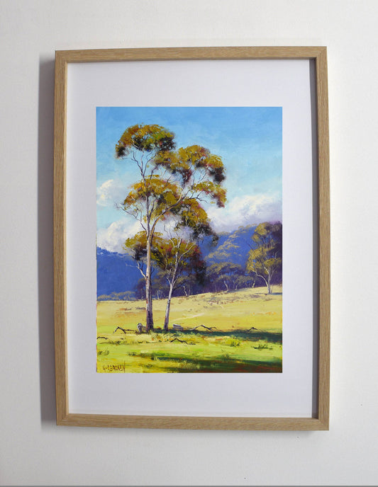 Hartley Valley Gum Trees - Original oil Painting by Graham Gercken