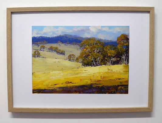 Framed Australian  Landscape original oil painting by Graham Gercken