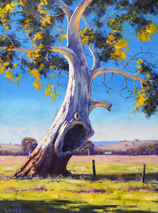 Original oil painting of Australian gum trees by Graham Gercken