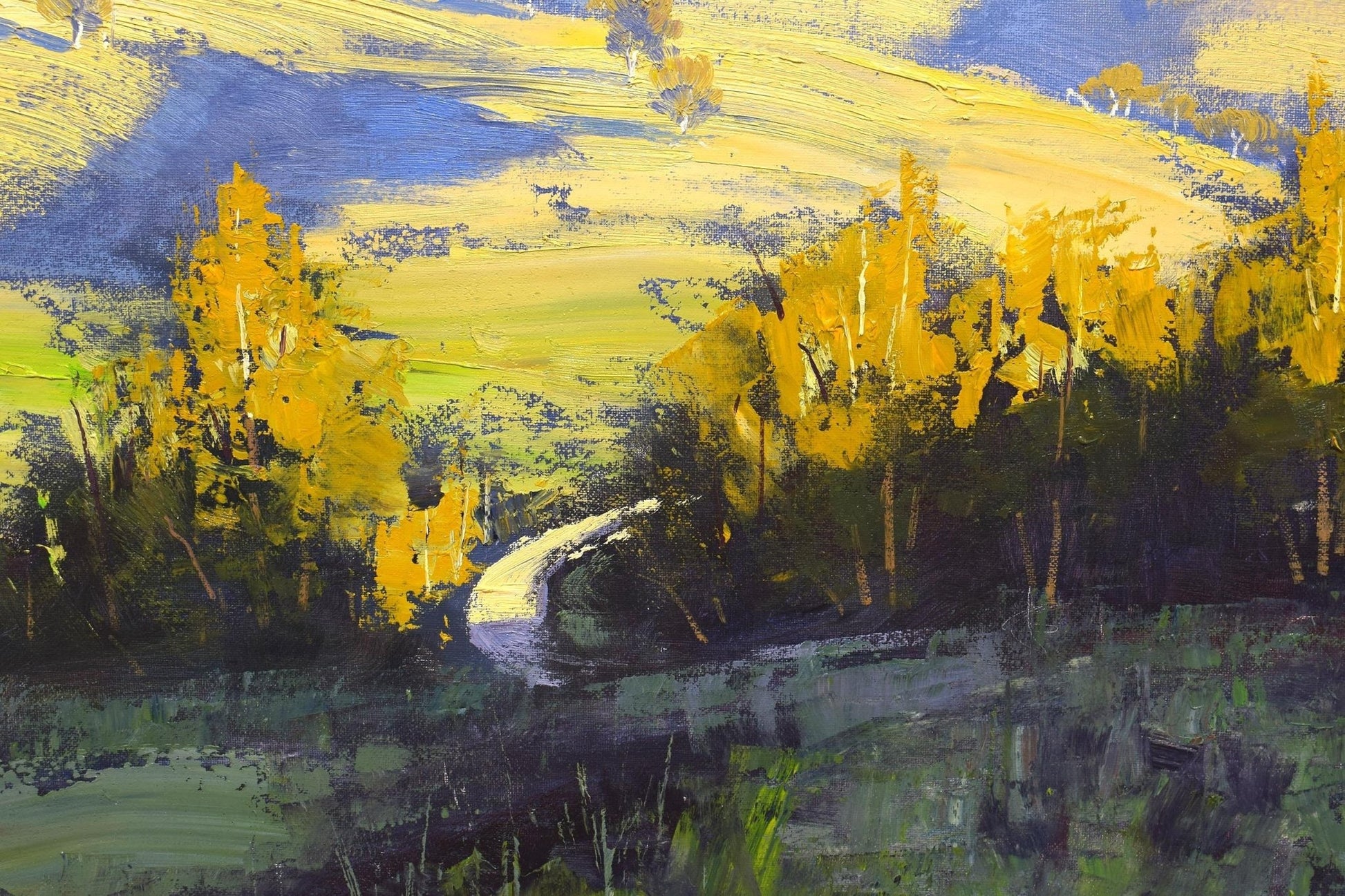 Original Australian landscape oil painting by Graham Gercken