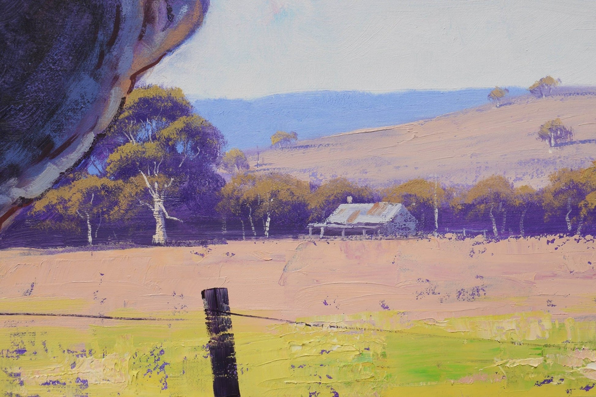 Original oil painting of Australian gum trees by Graham Gercken