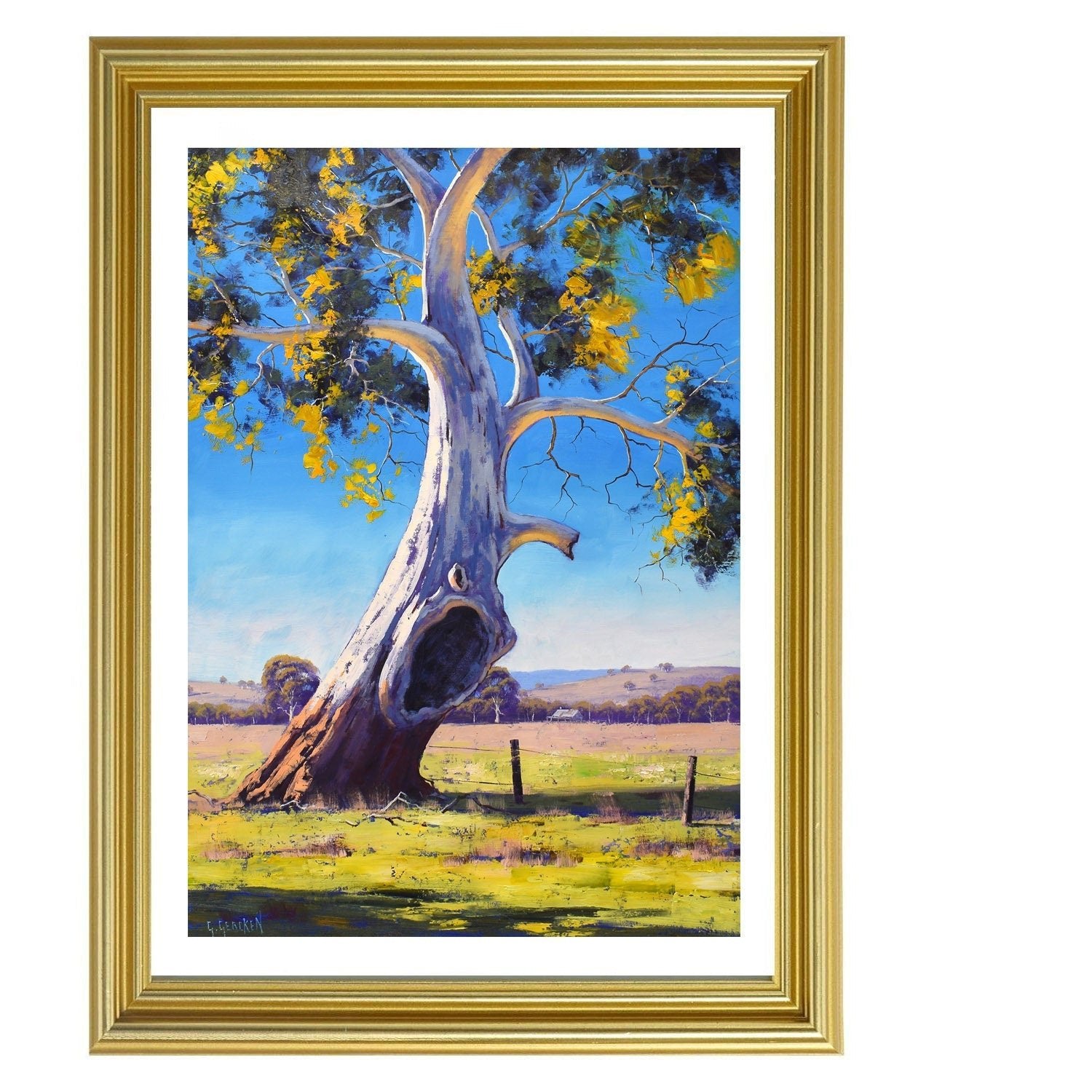 Original oil painting of Australian gum trees by Graham Gercken