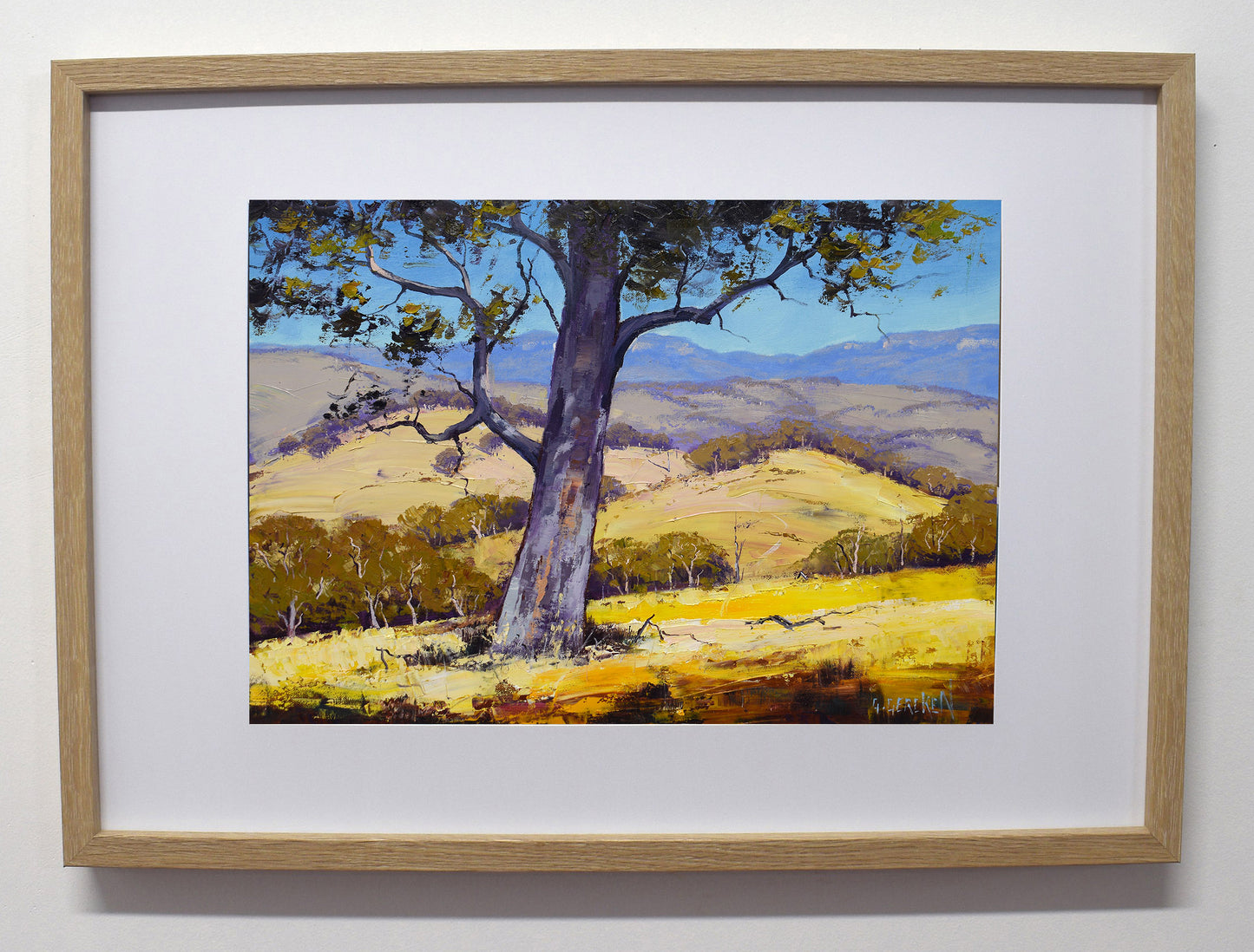 Blue Mountains Valley Gum Tree Framed Oil Painting Australian Landscape Gercken