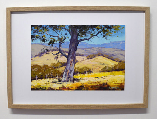 Blue Mountains Valley Gum Tree Framed Oil Painting Australian Landscape Gercken