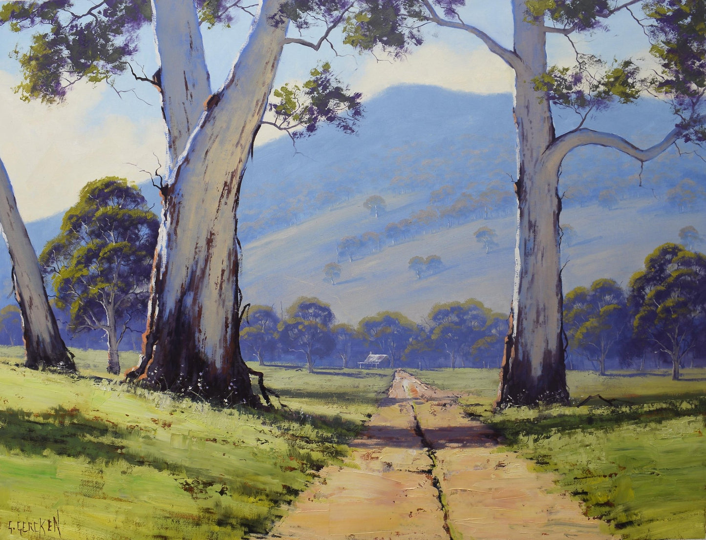 Large Australian Landscape oil painting