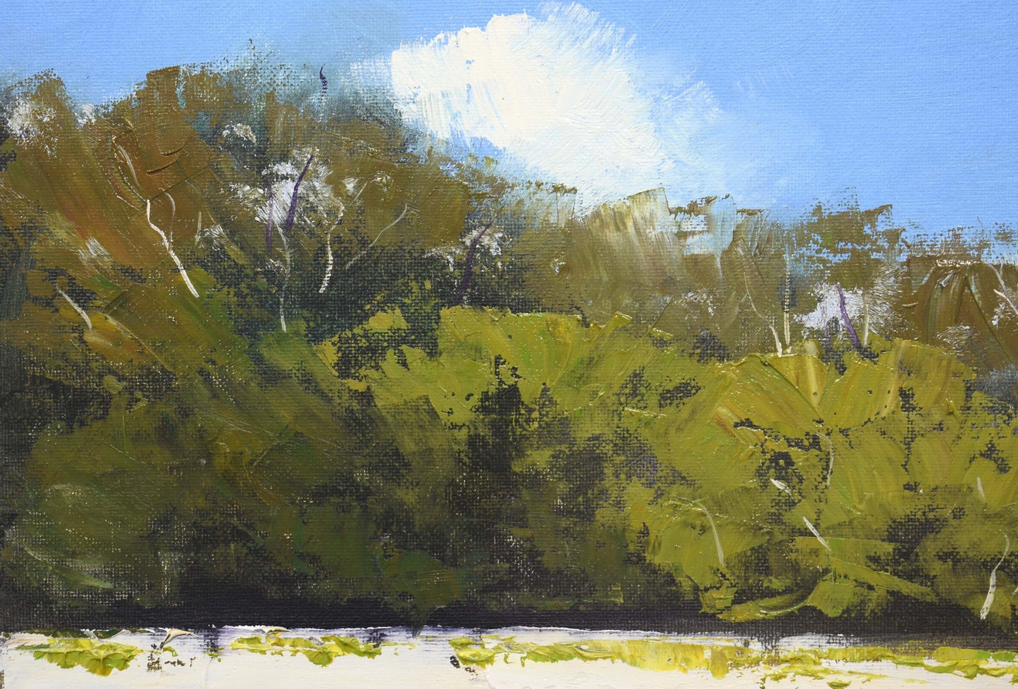 Sydney Harbour Beach | Original Oil Painting Ready-to-Hang