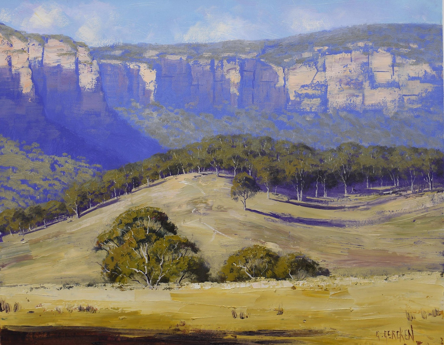 Summer landscape Capertee valley