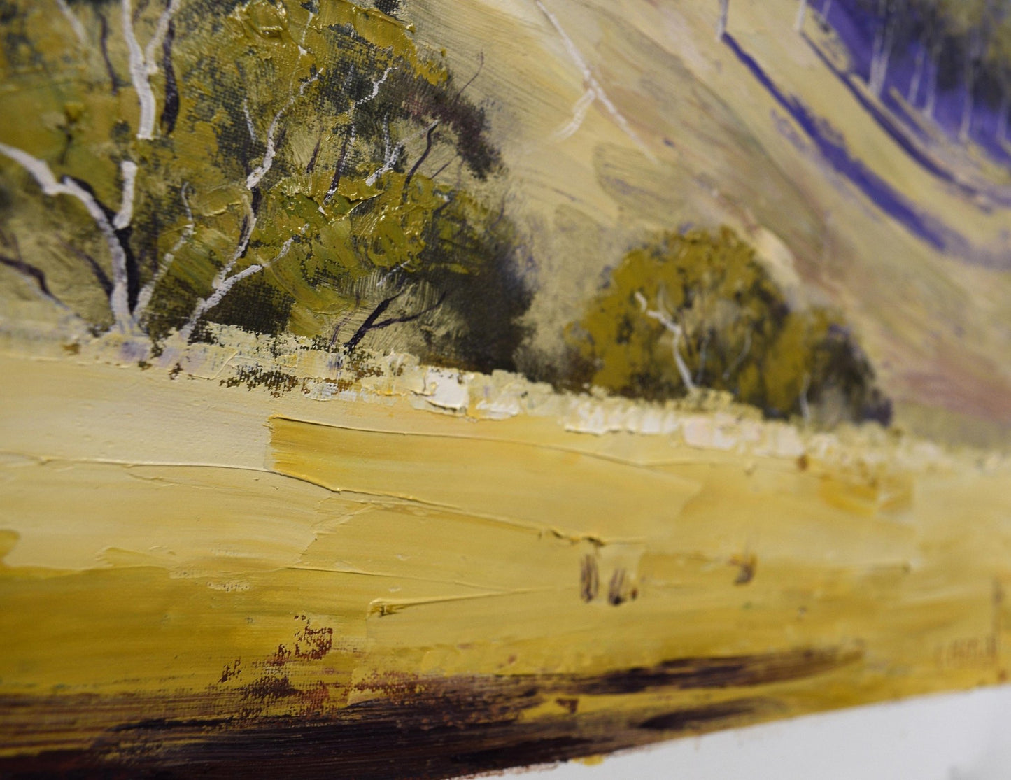 Summer landscape Capertee valley