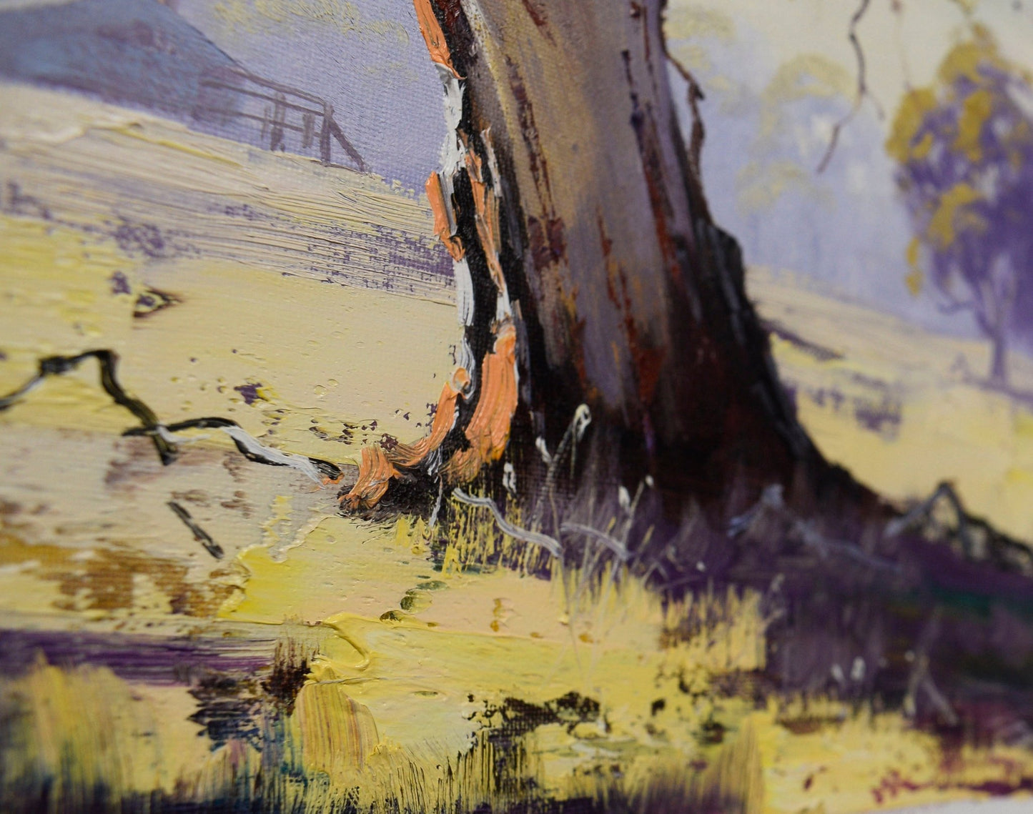 Framed Original Oil Painting of Gum Tree, Whittlesea Victoria – Australian Landscape by Graham Gercken