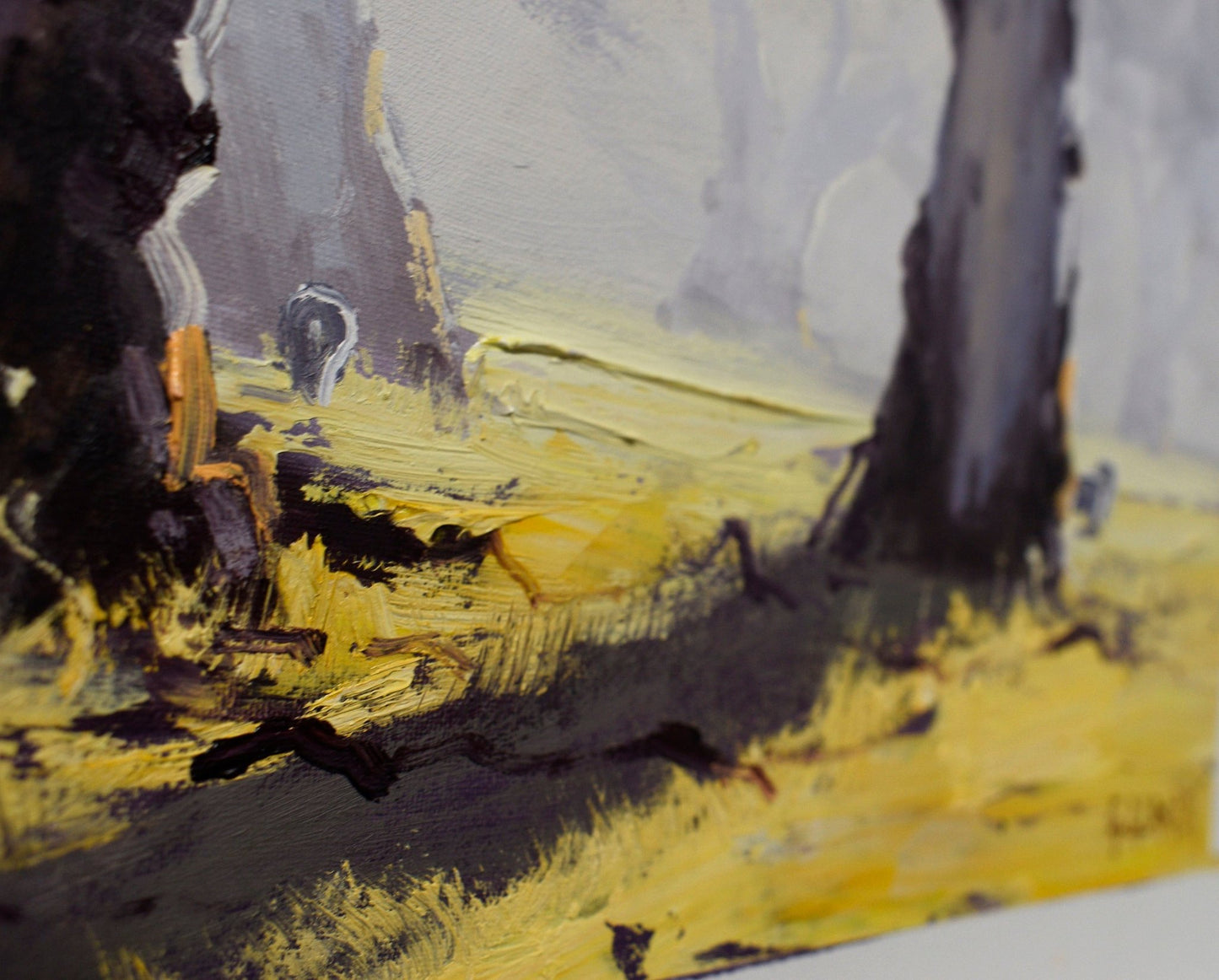 Misty Morning Gum trees