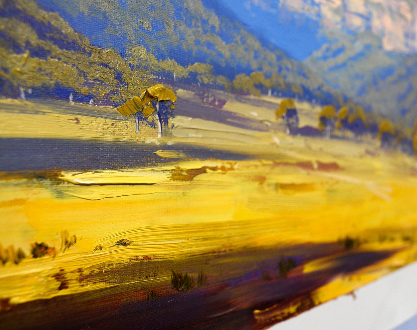 Capertee Valley Landscape – Original Framed Oil Painting by Graham Gercken