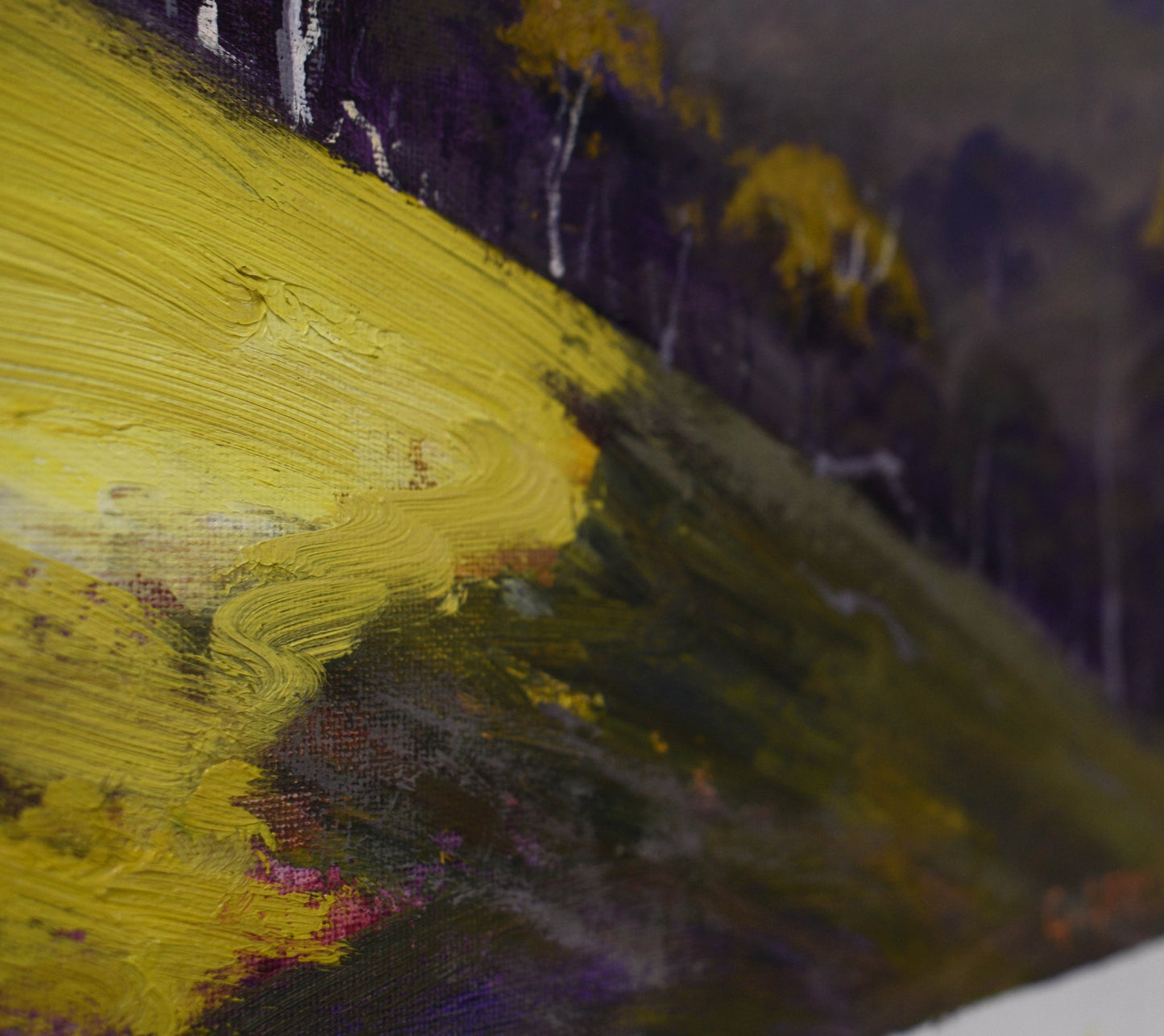 Sunlit Hillside Kanimbla valley