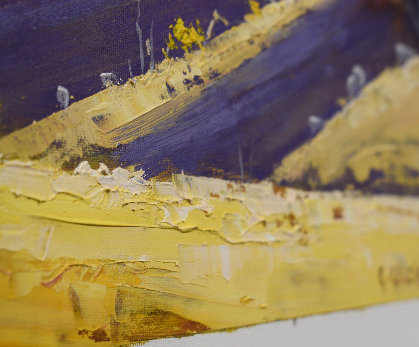 Golden Hills of Mudgee – Original Framed Landscape Oil Painting