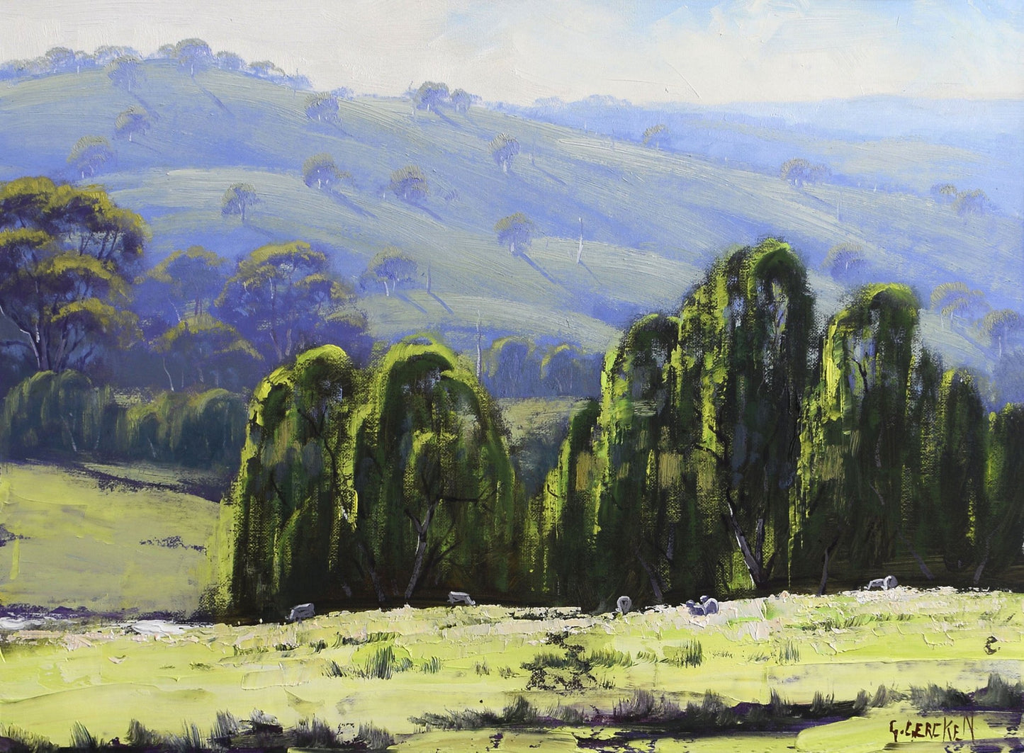 Rolling Hills, Central West NSW – Original Stretched Landscape Oil Painting