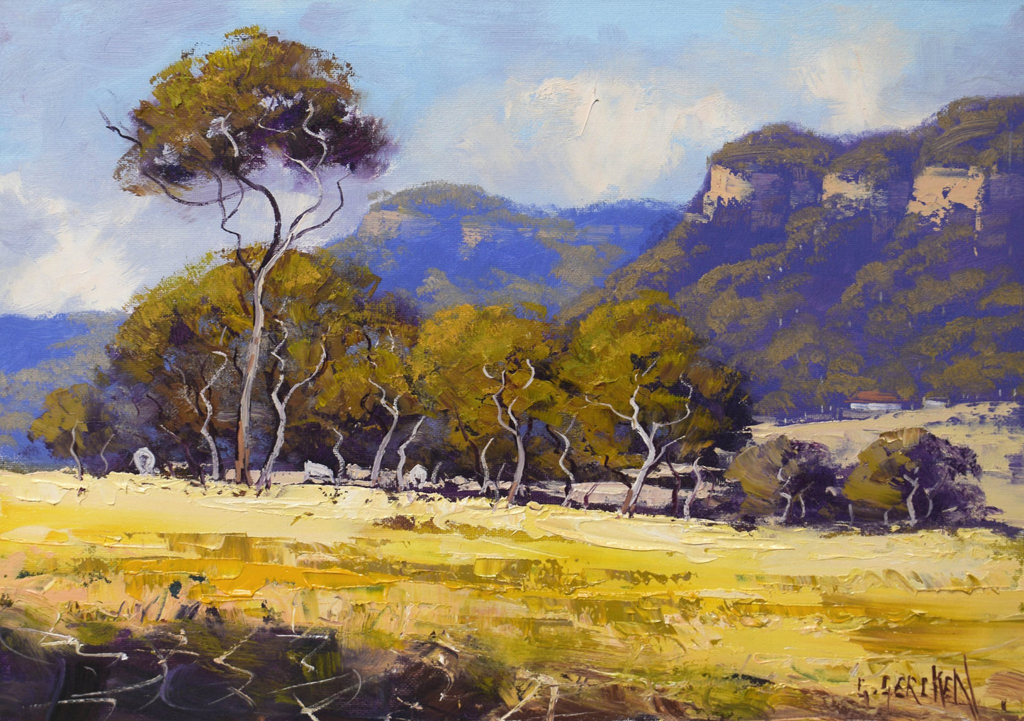 Golden Light, Capertee Valley NSW – Original Framed Landscape Oil Painting