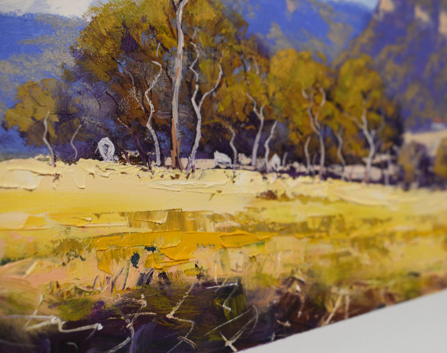 Golden Light, Capertee Valley NSW – Original Framed Landscape Oil Painting