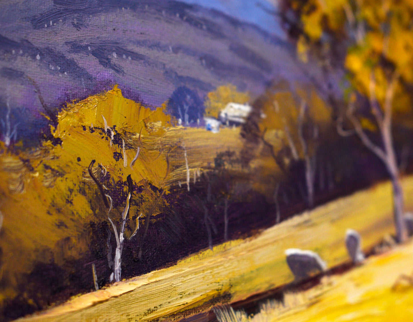 Kaninmbla to the Blue Mountains Framed oil Painting