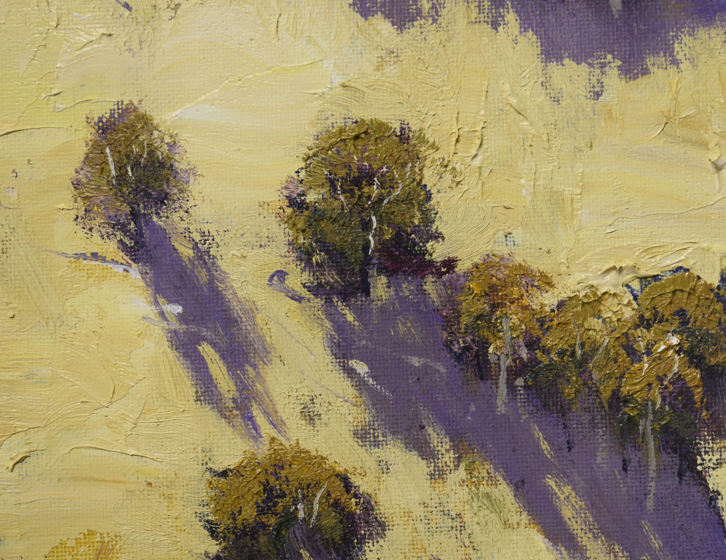 Kanimbla Valley, Blue Mountains NSW – Original Oil Landscape Painting 16 x 20 inches