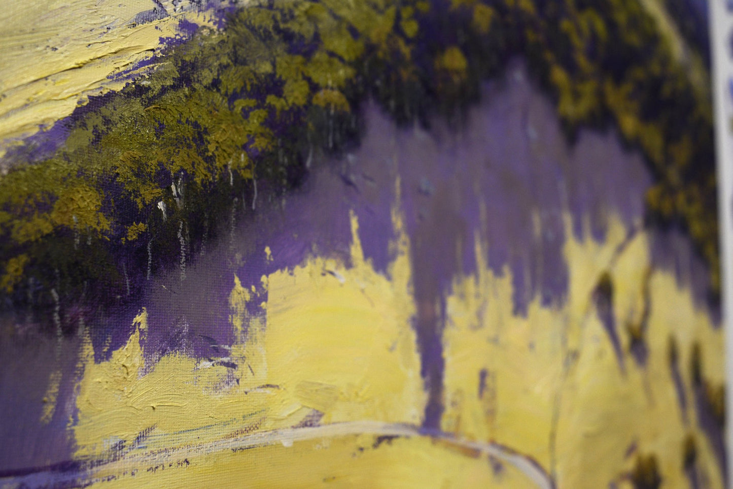 Kanimbla Valley, Blue Mountains NSW – Original Oil Landscape Painting 16 x 20 inches