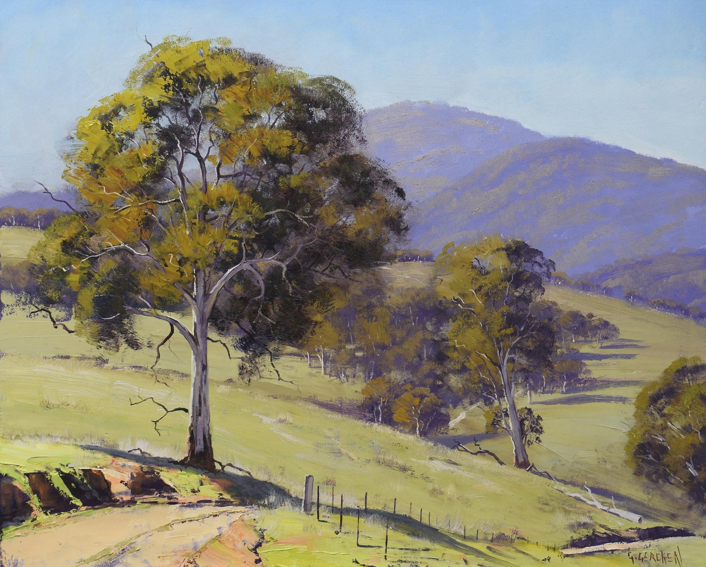 Sunlit Hills, Oberon NSW – Original Australian Landscape Oil Painting