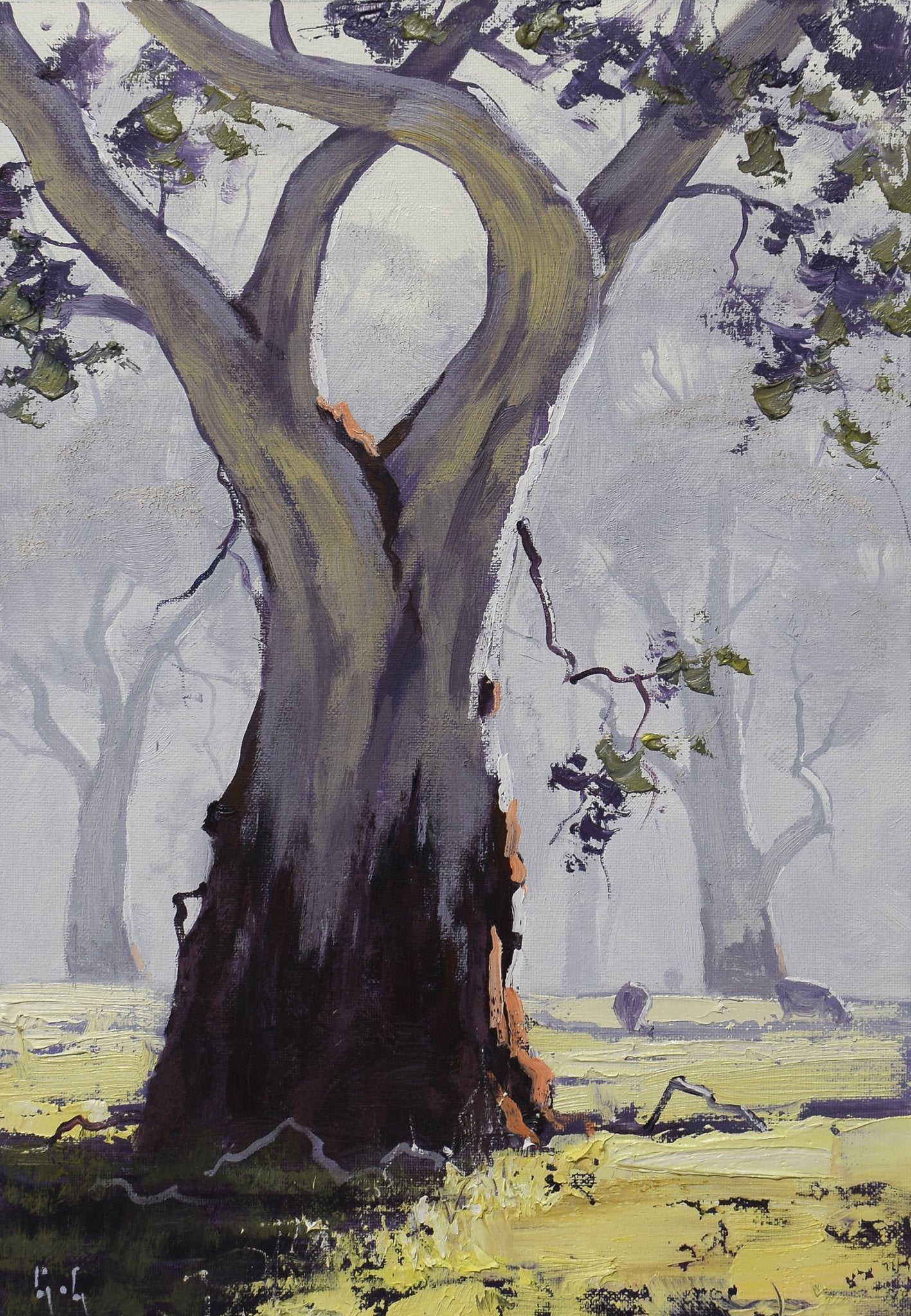 Australian Bush Landscape with Gum Tree