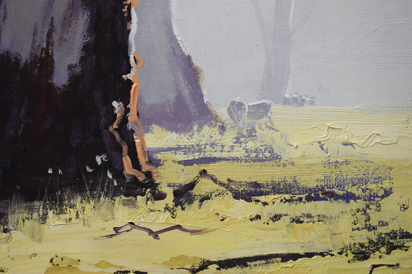 Misty Morning Gum trees